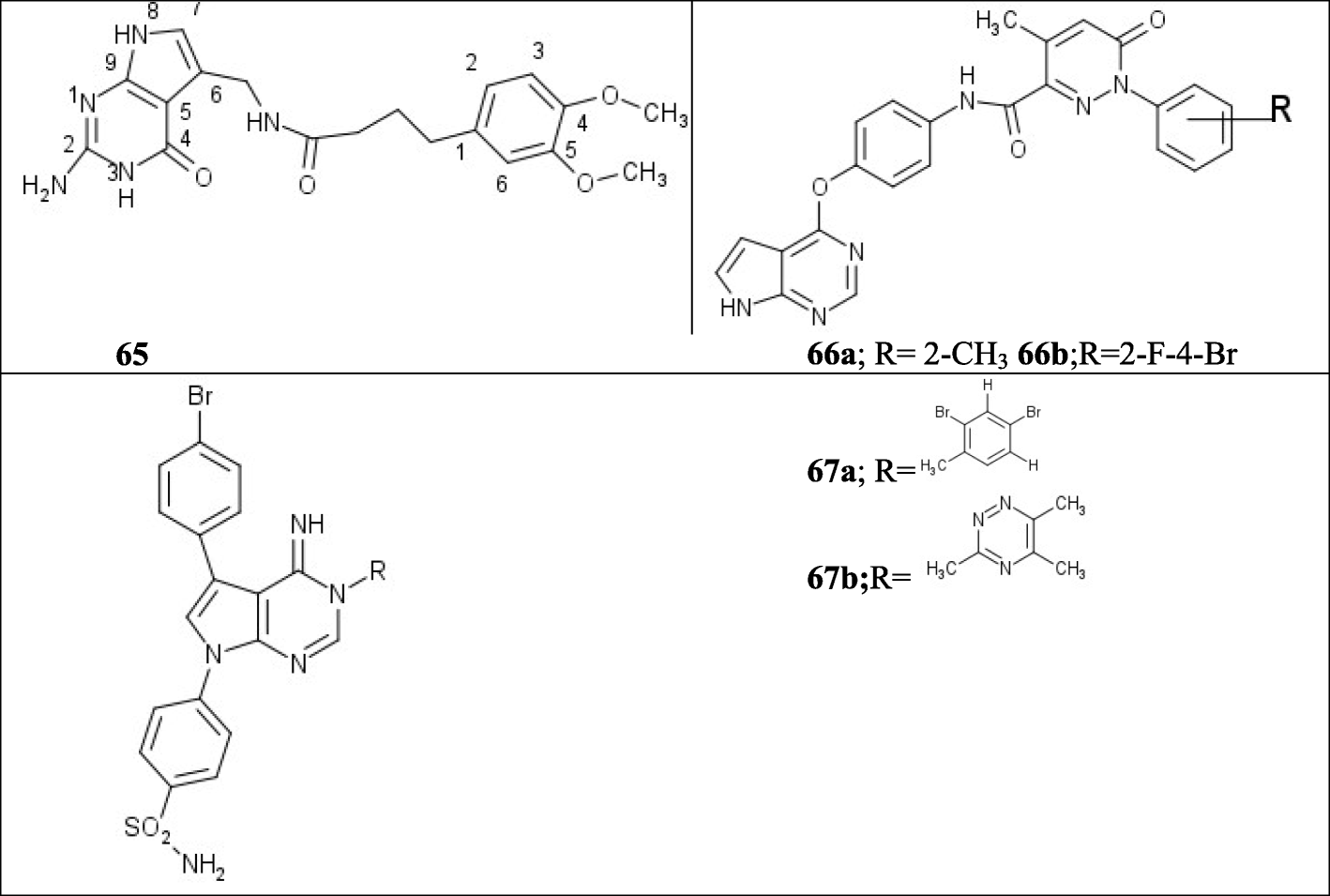 Fig. 21