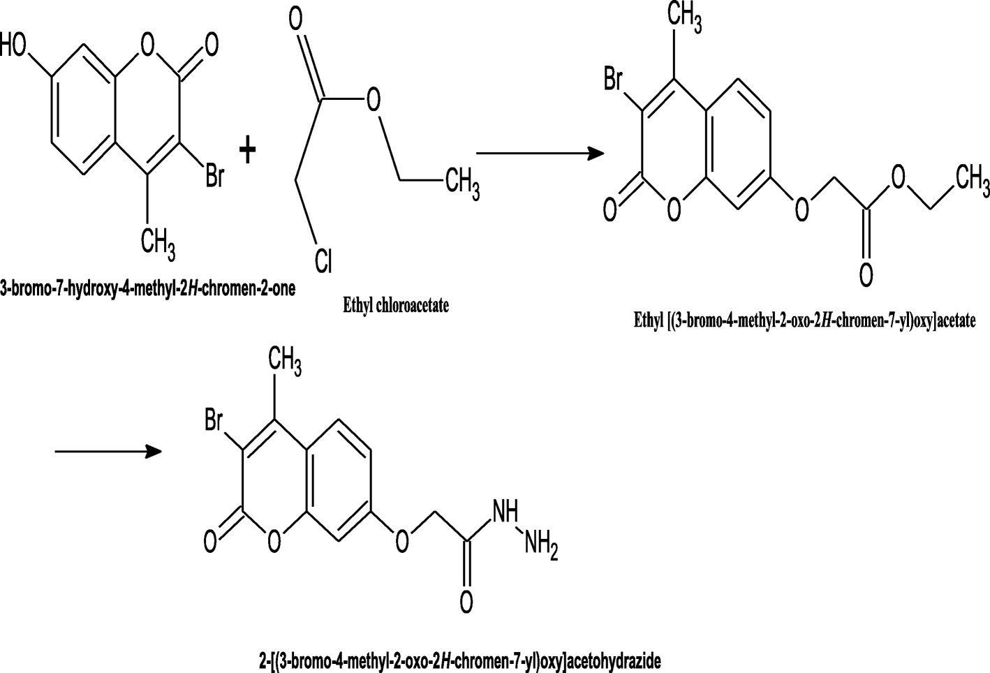 Scheme 2