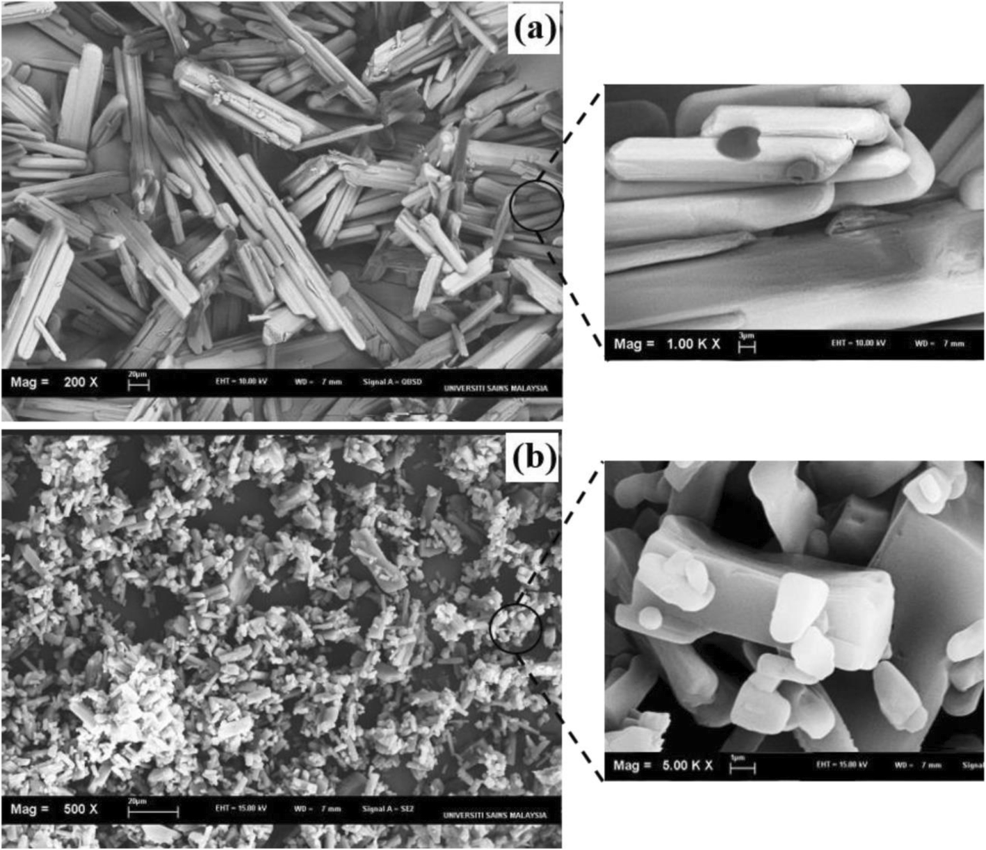 Fig. 10