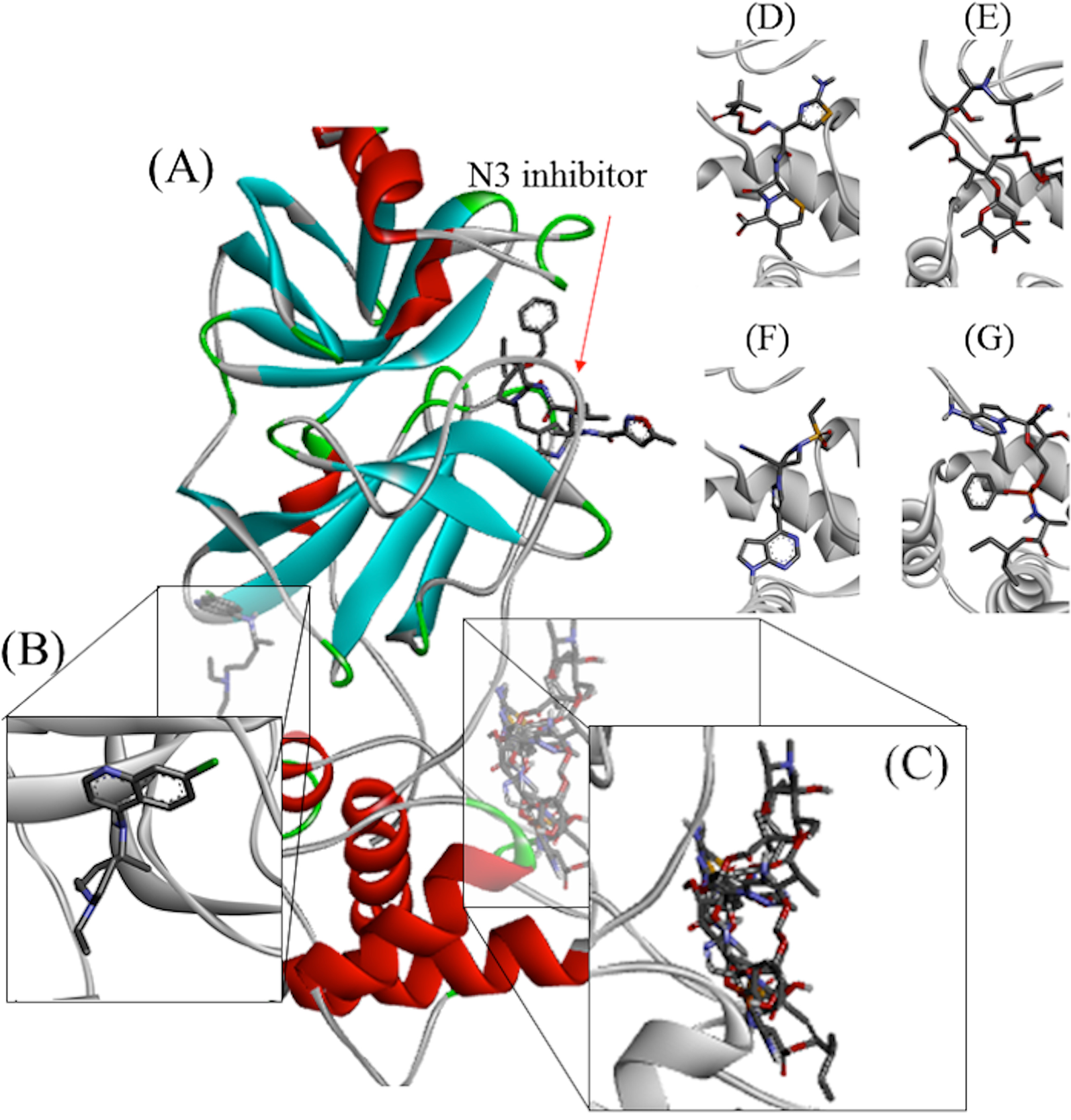 Fig. 3