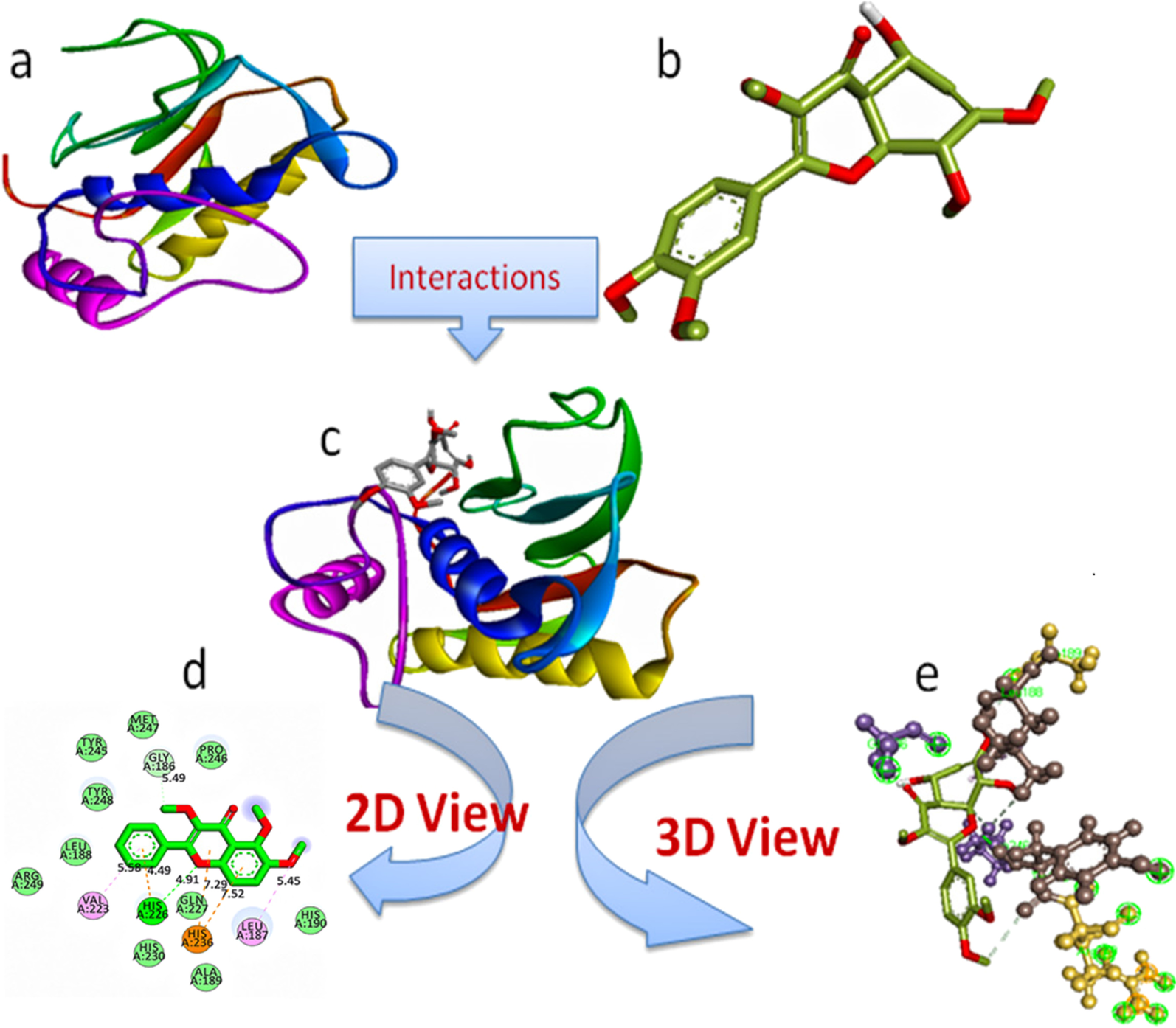 Fig. 2