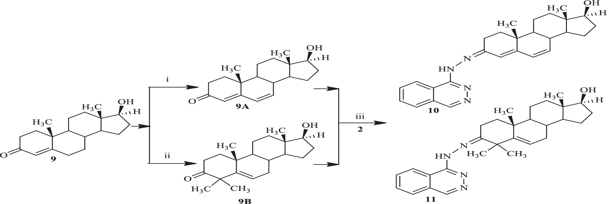 Scheme 2