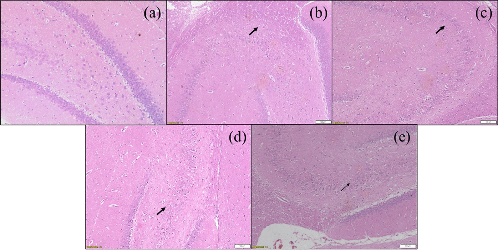 Fig. 10