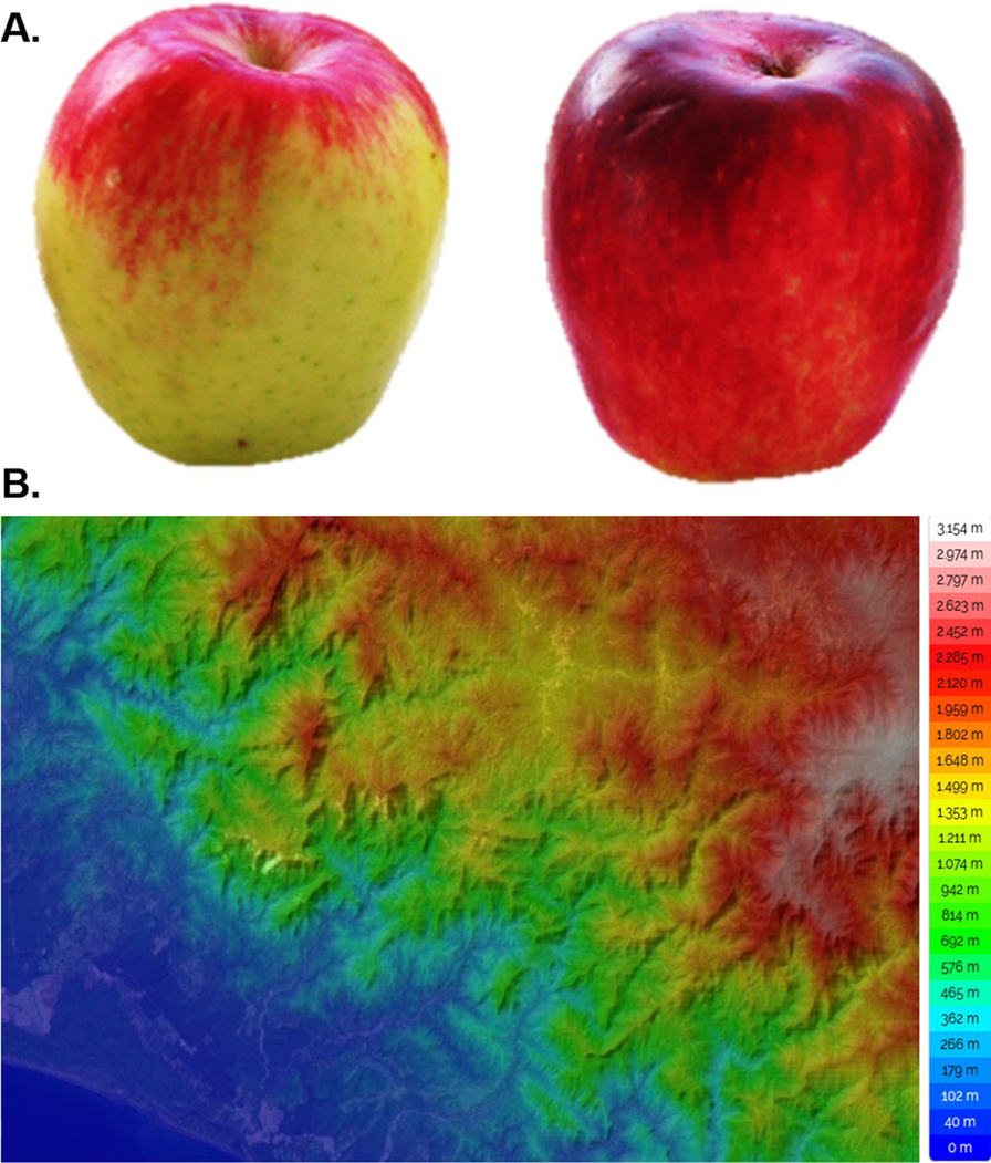 Fig. 1