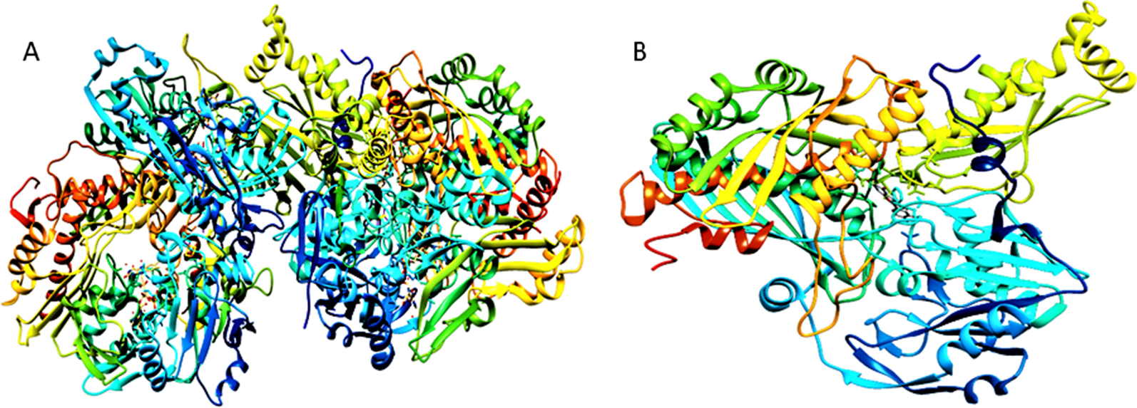 Fig. 1