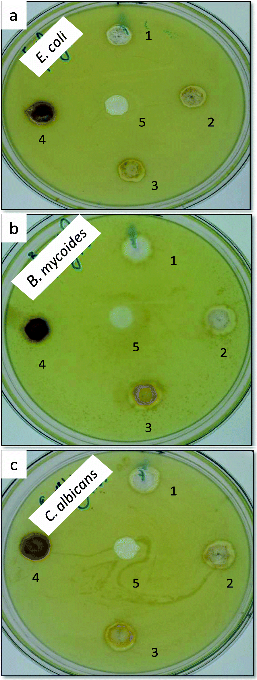 Fig. 6