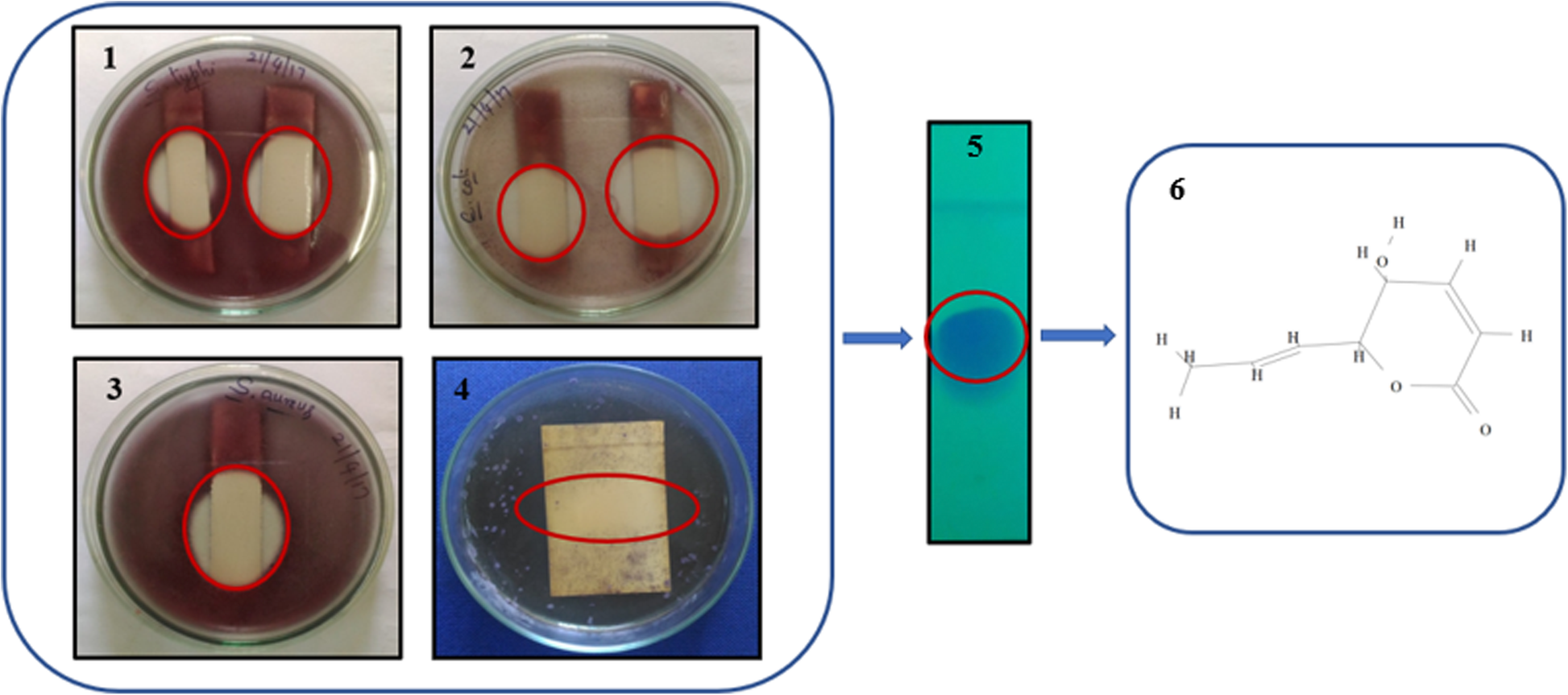 Fig. 4