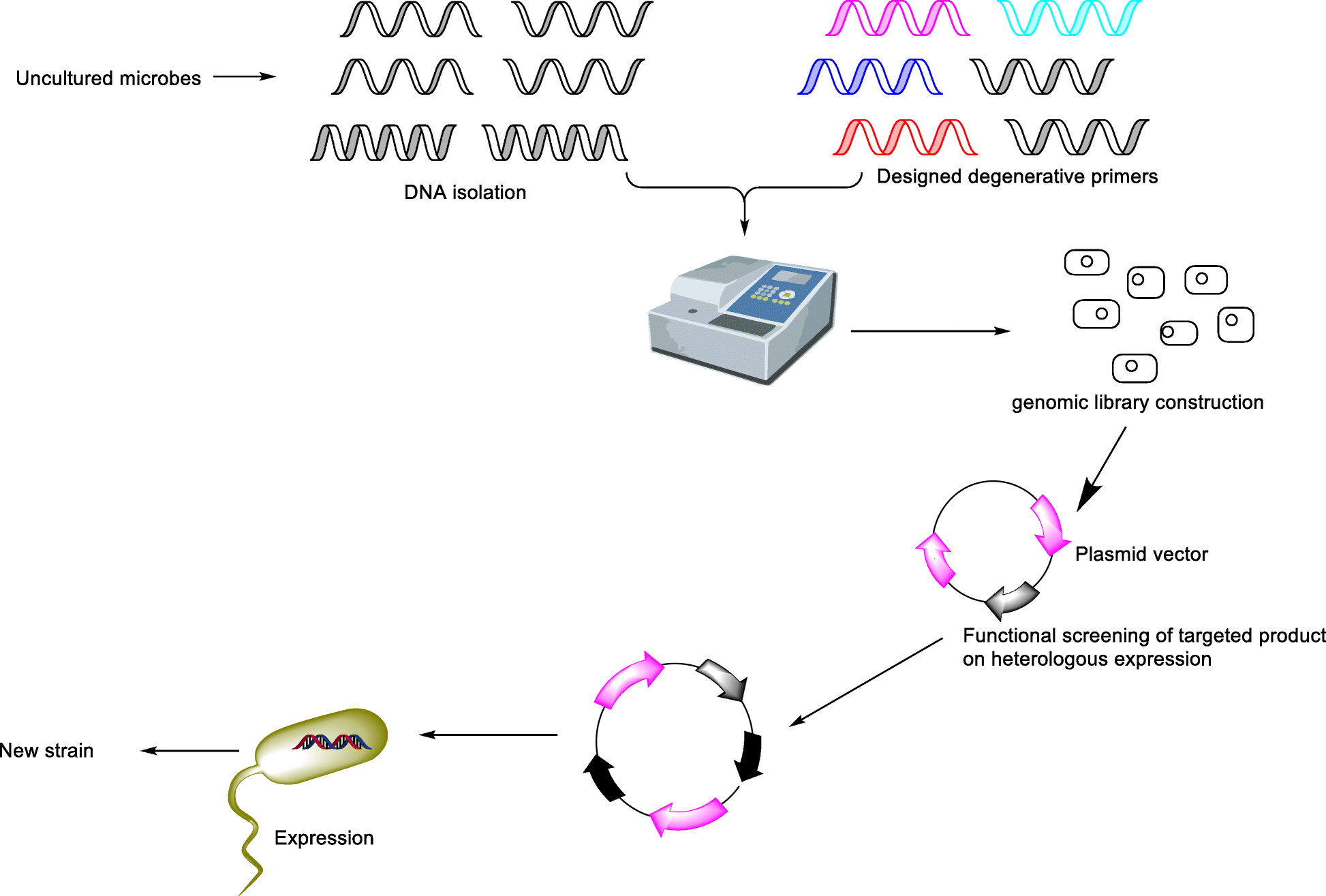 Scheme 2