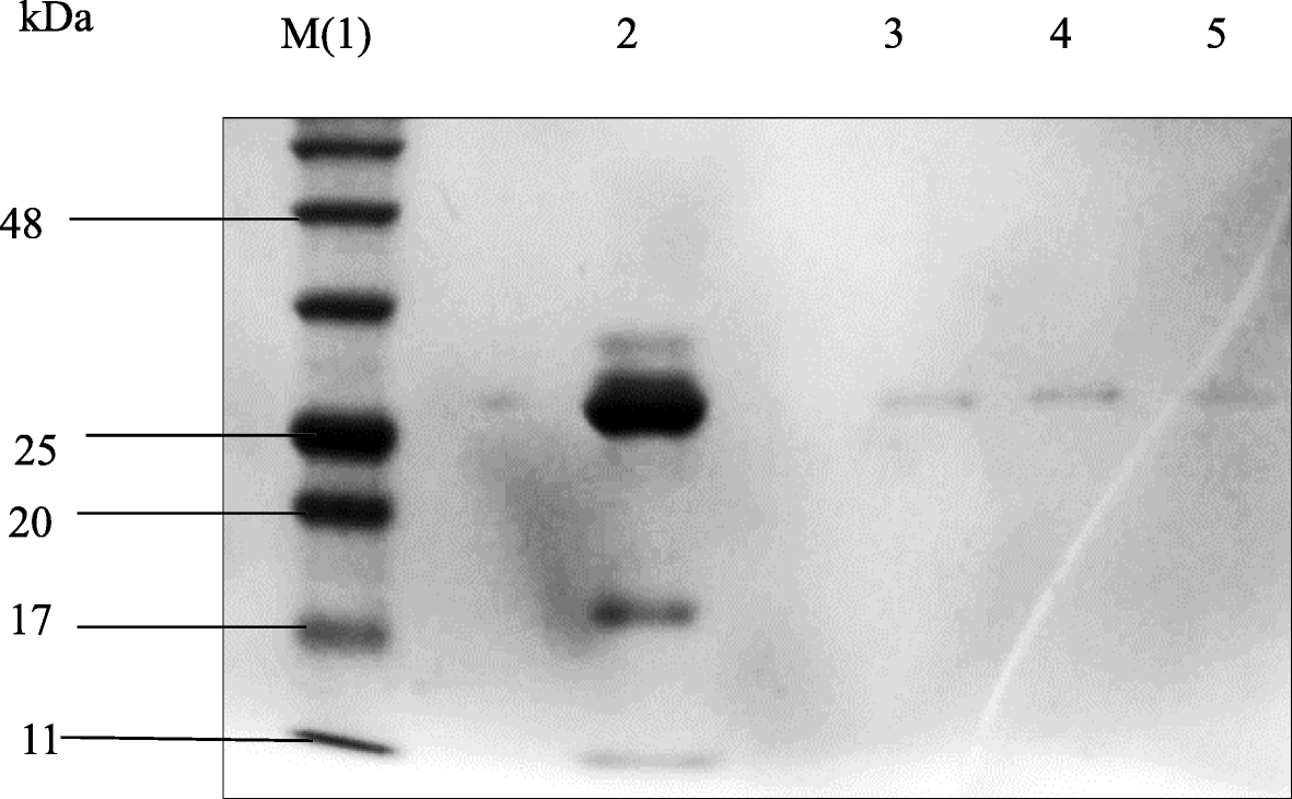 Fig. 15