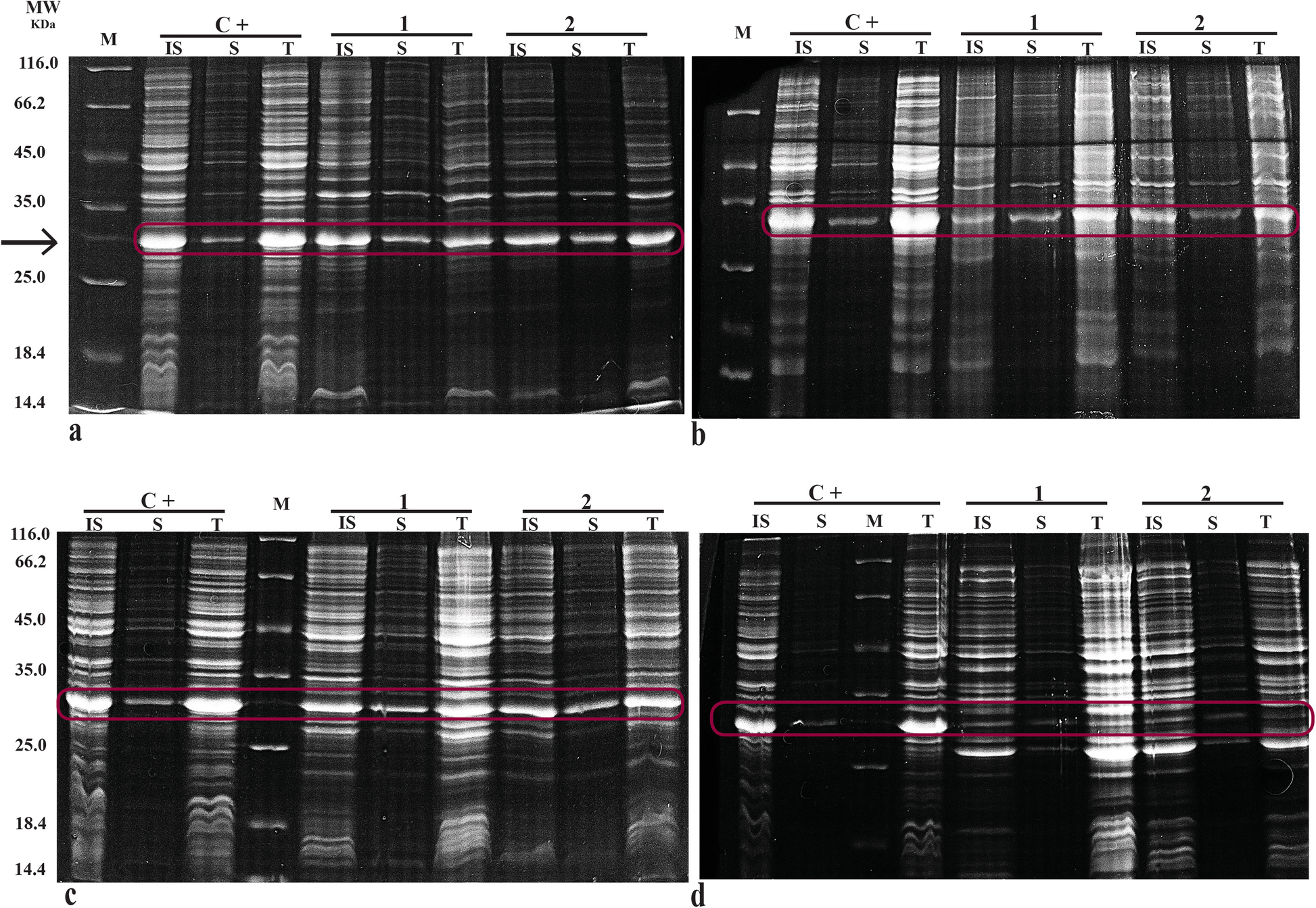 Fig. 3