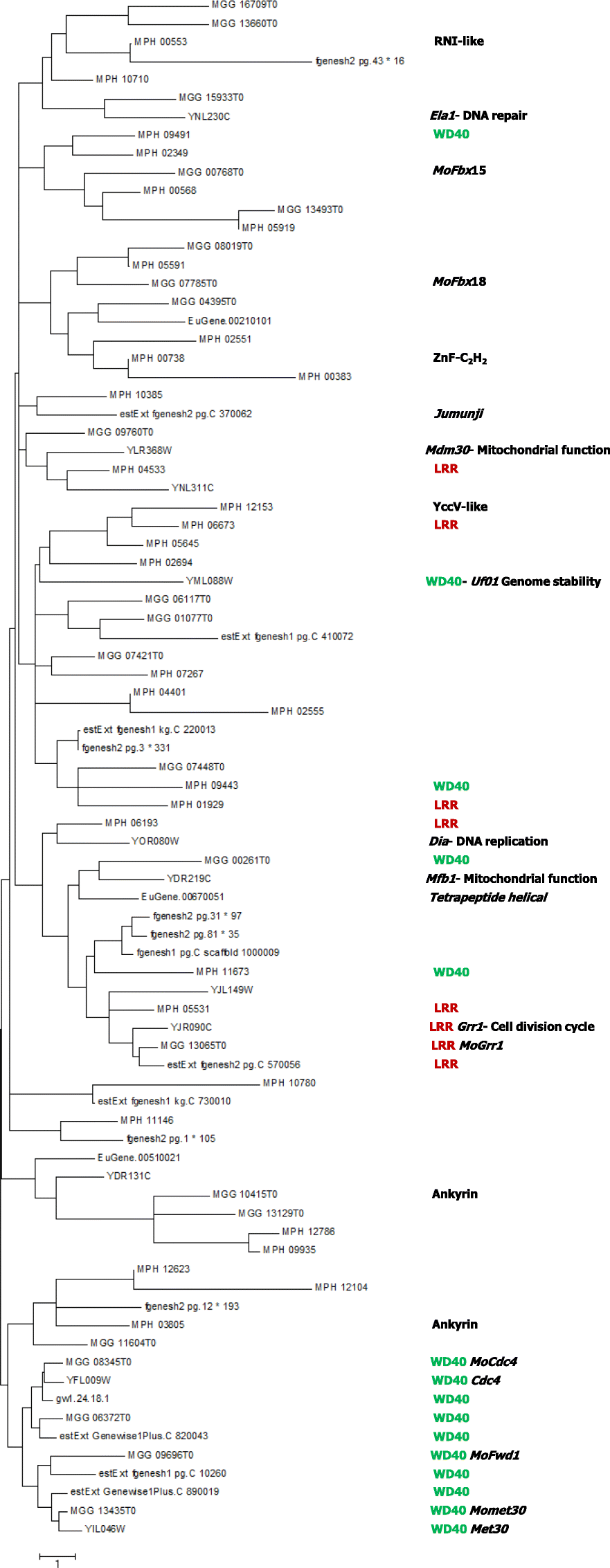 Fig. 5