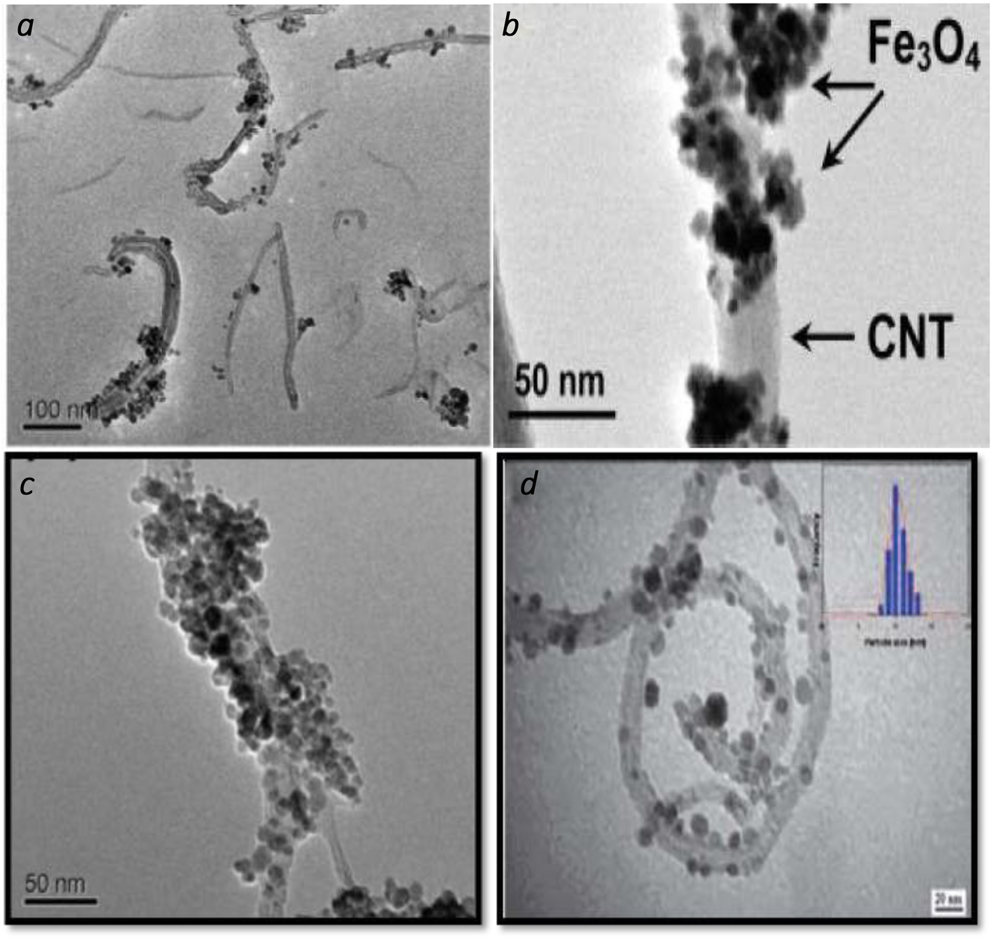 Fig. 2