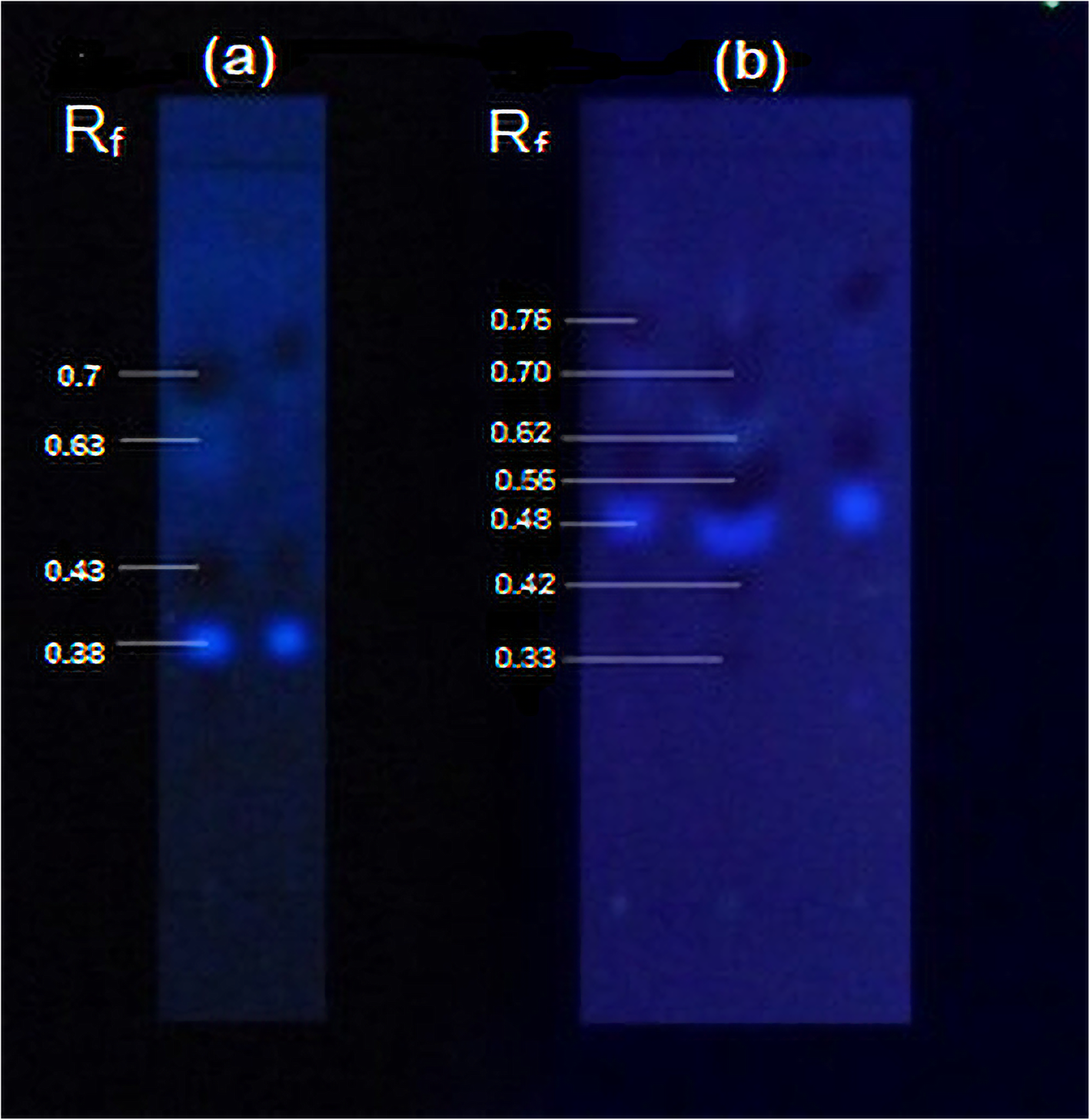 Fig. 11