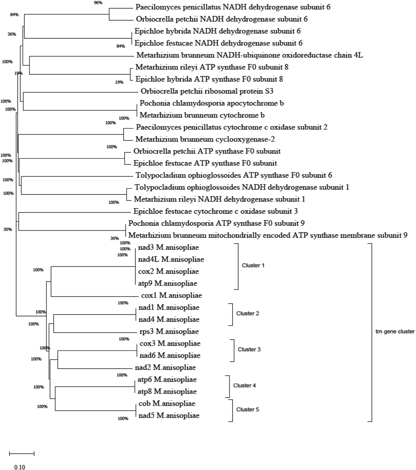 Fig. 6