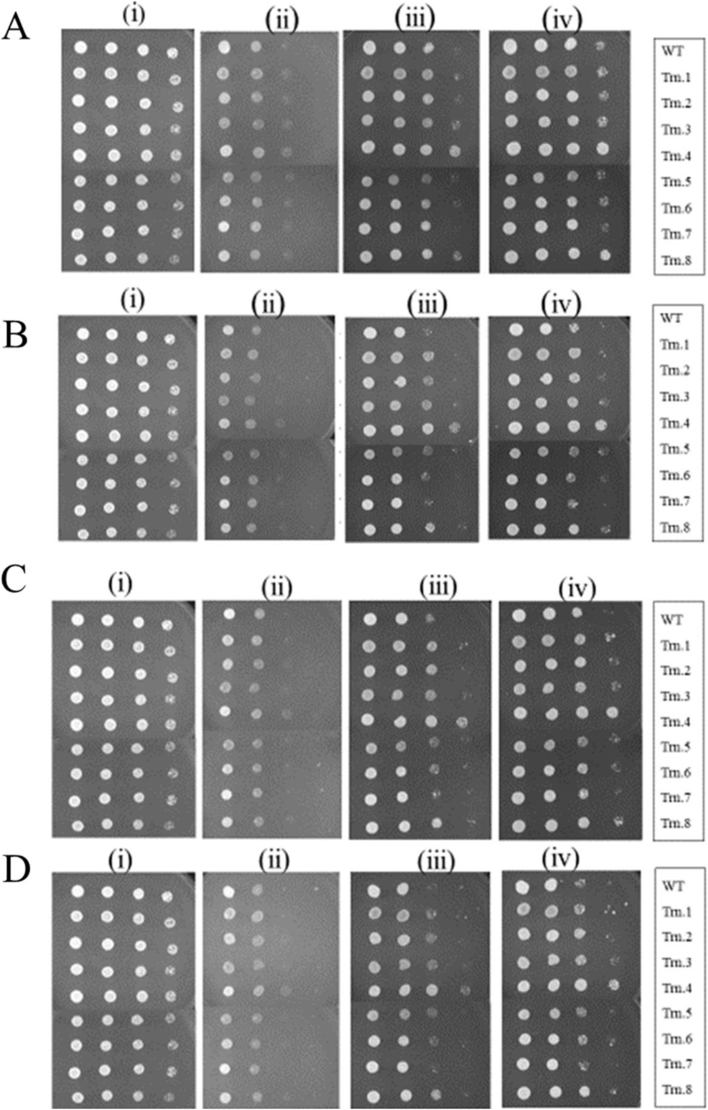 Fig. 7