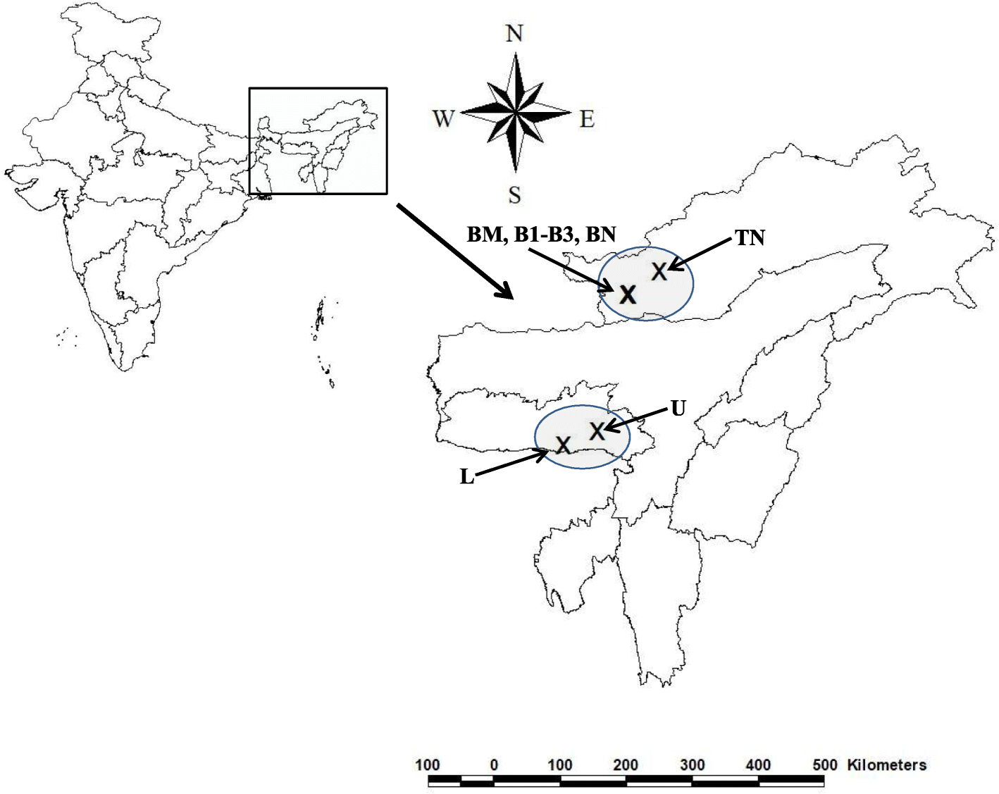 Fig. 2