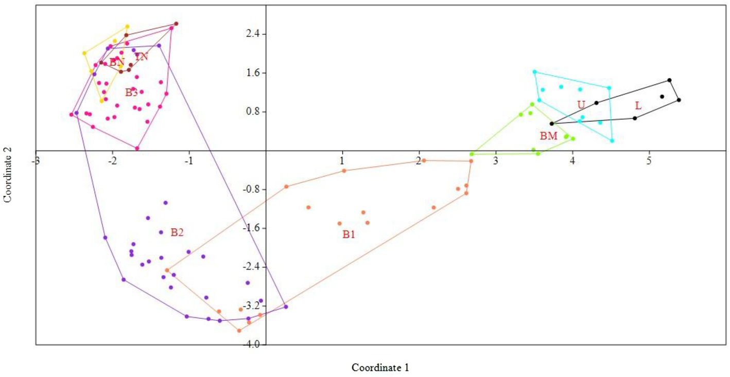 Fig. 9