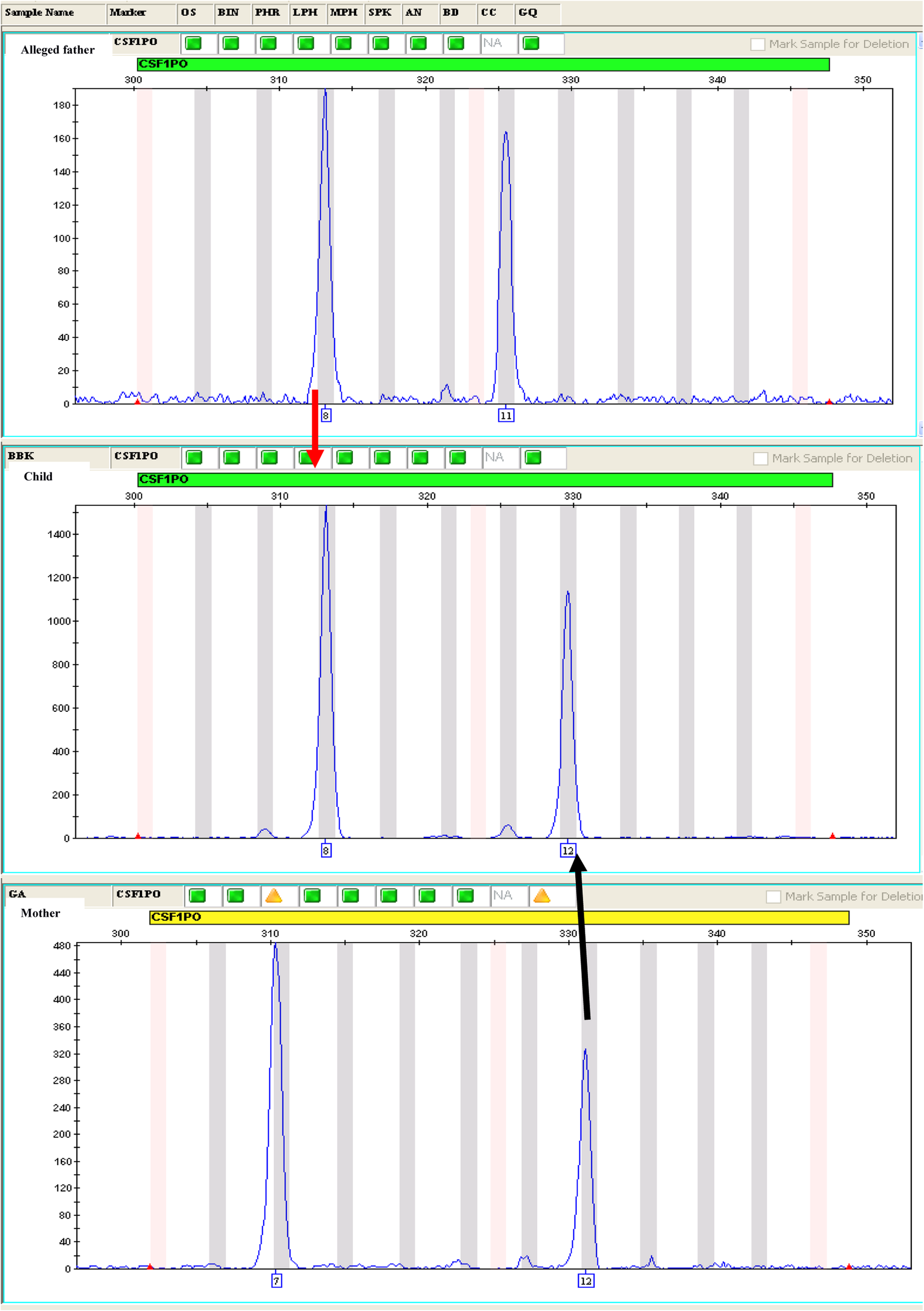 Fig. 1