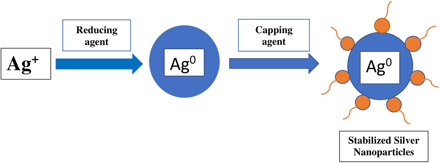 Fig. 7