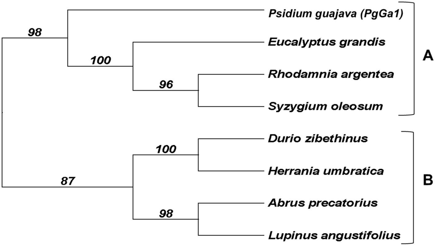 Fig. 5