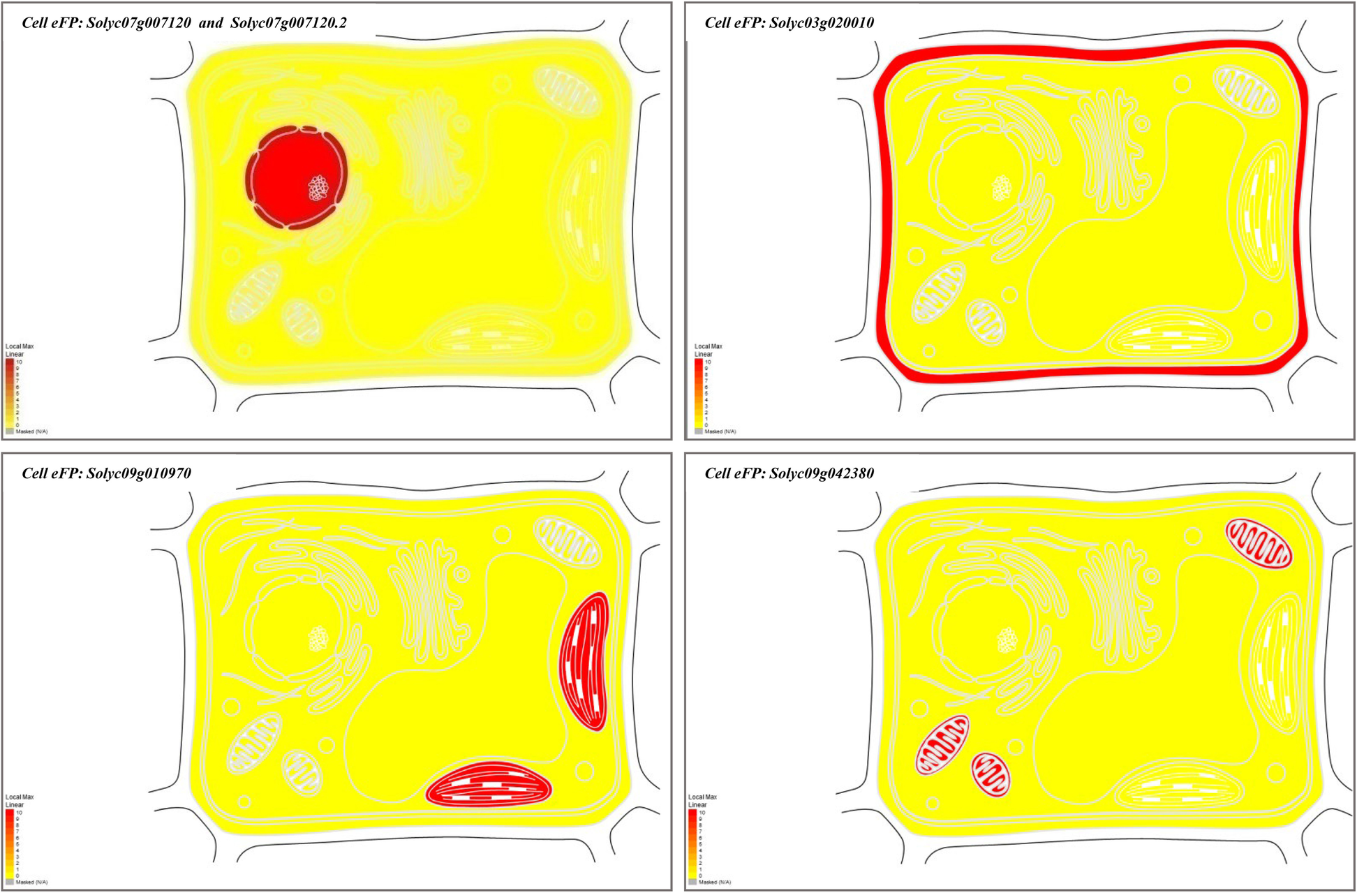 Fig. 6