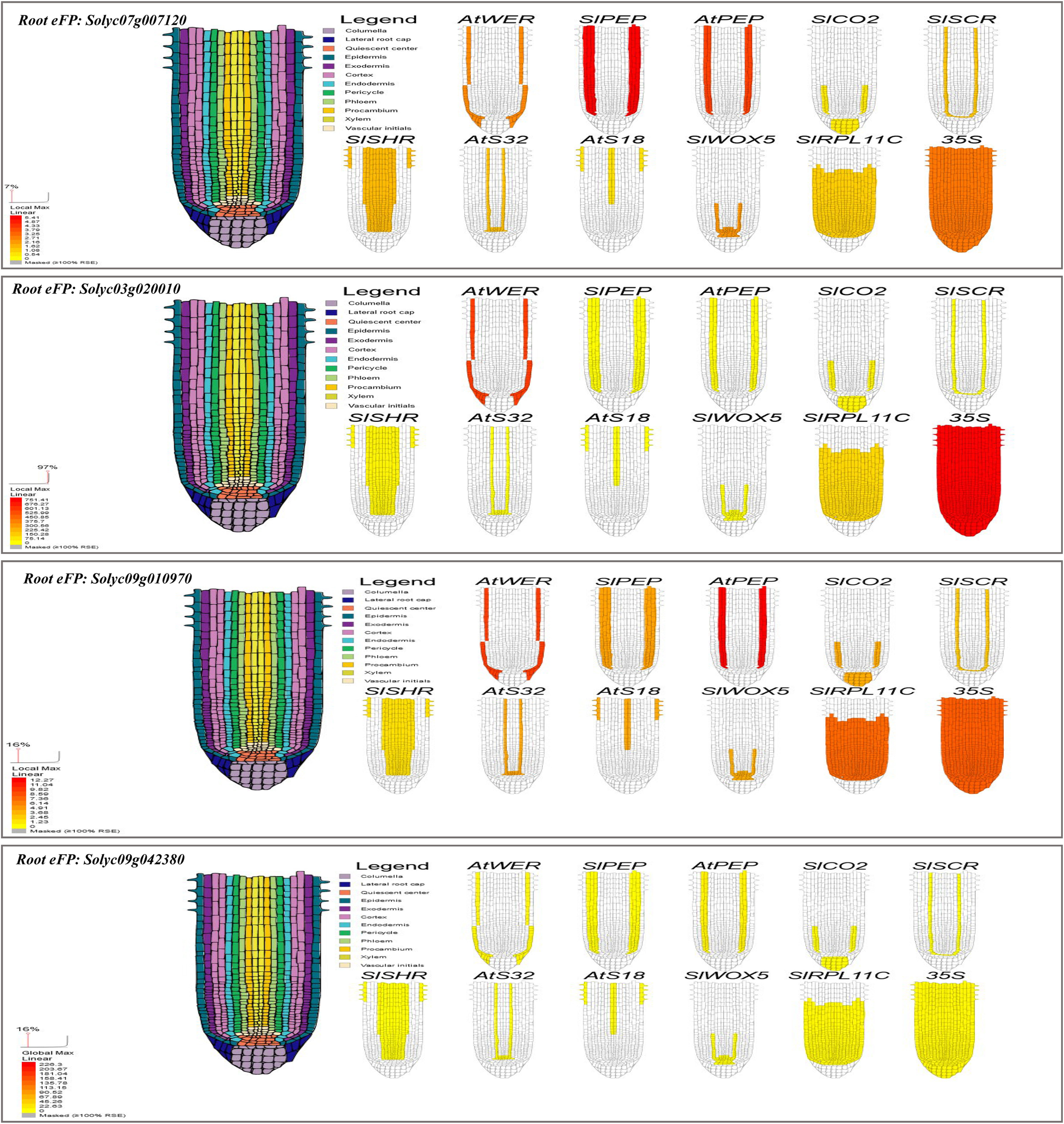 Fig. 7