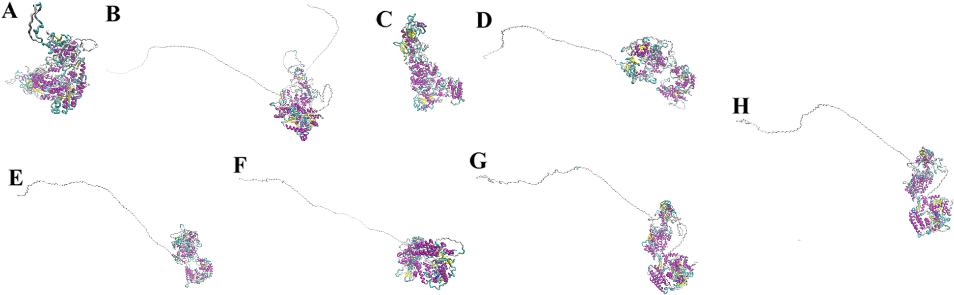 Fig. 4