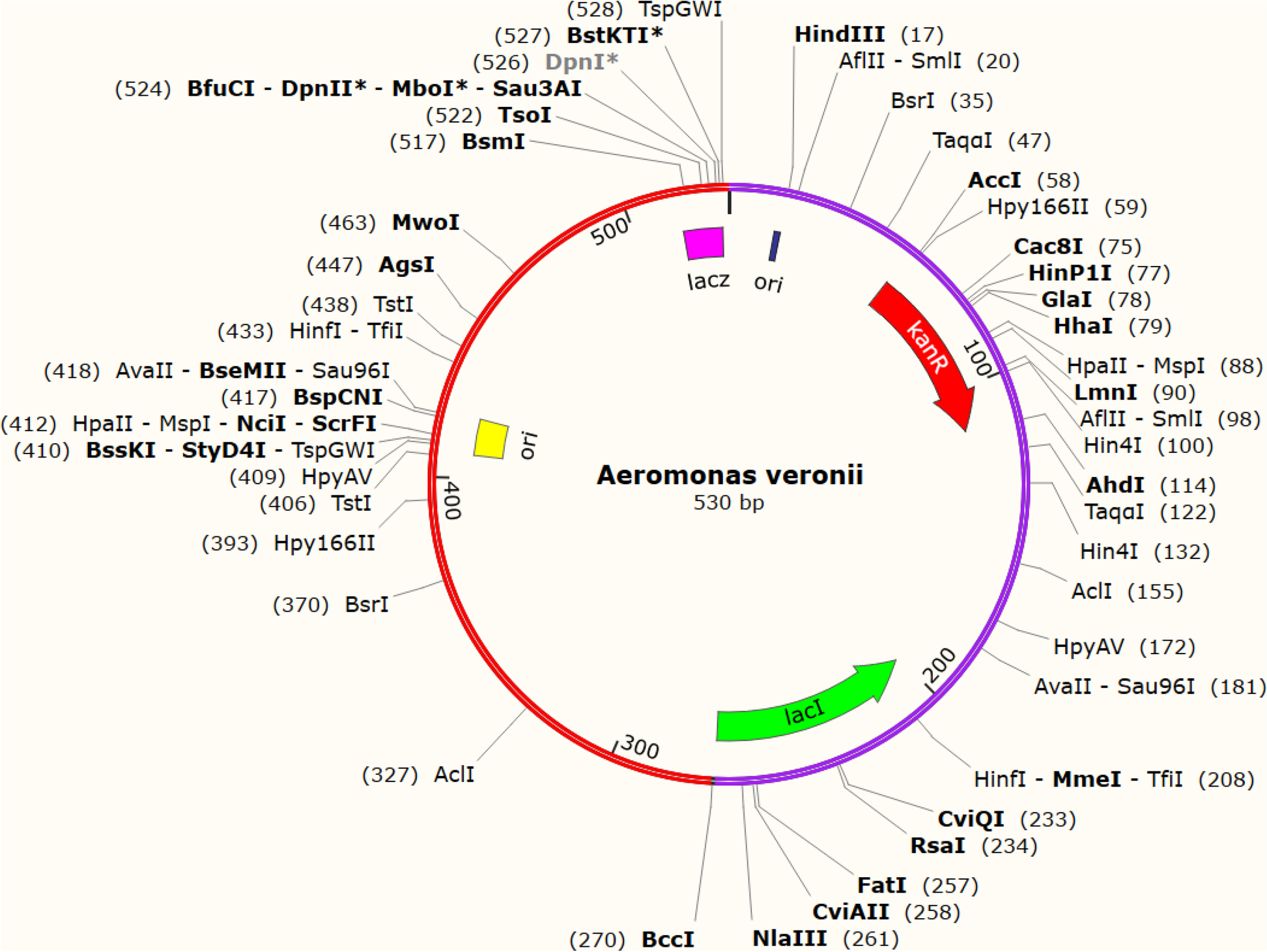 Fig. 12