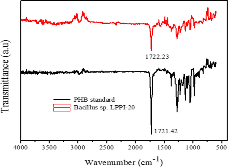 Fig. 9