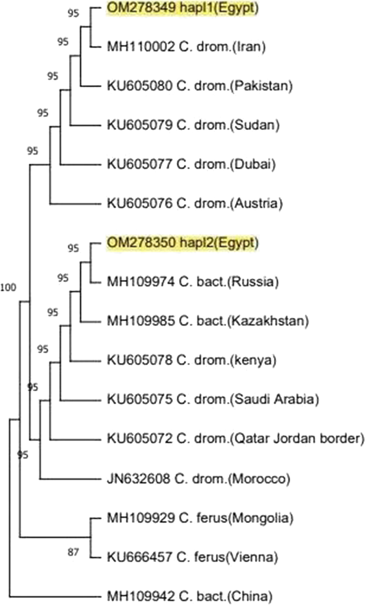 Fig. 6