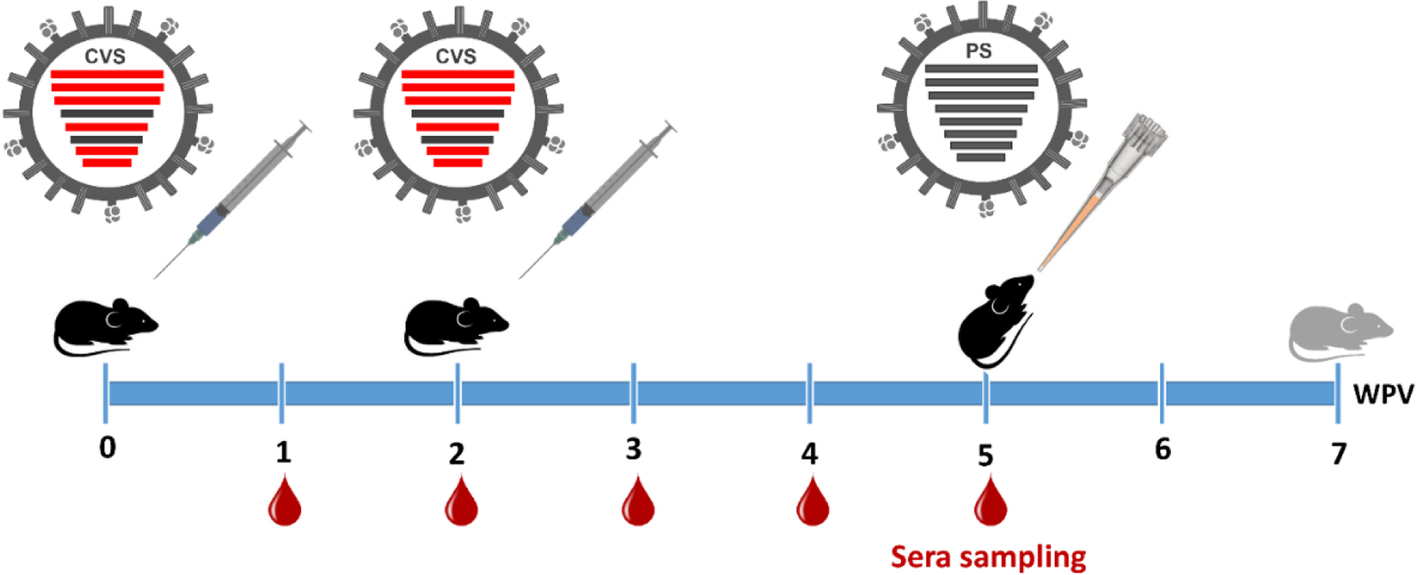 Fig. 2