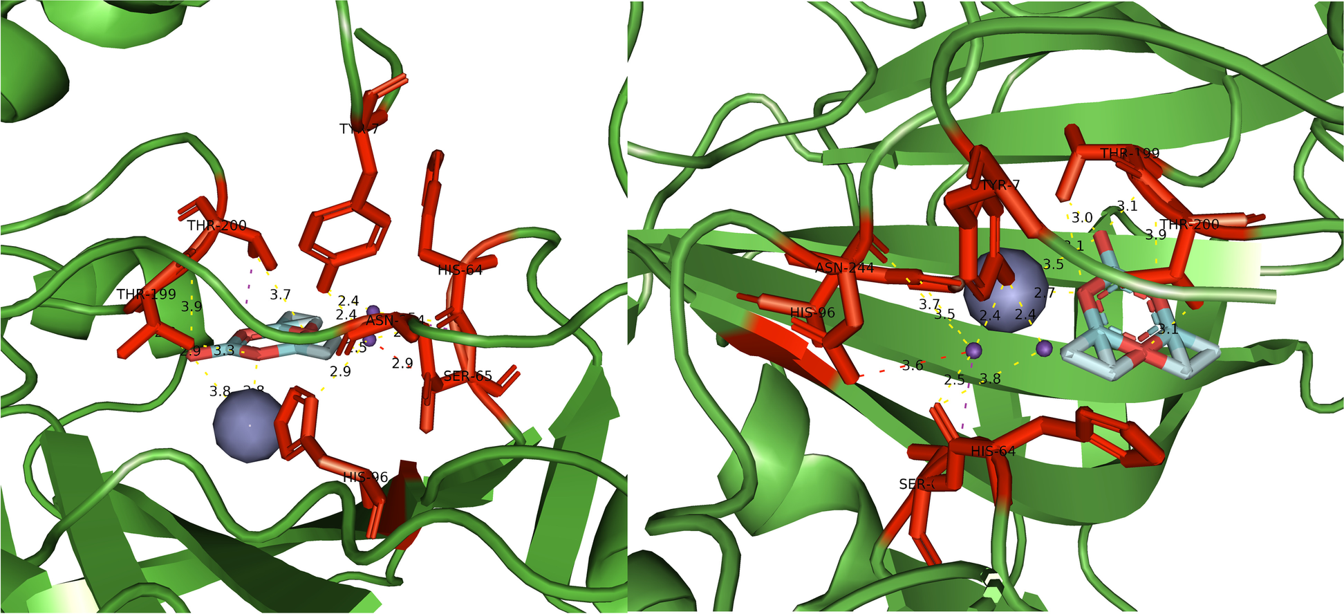 Fig. 10