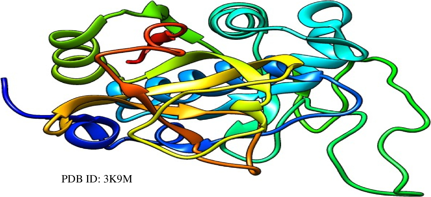 Fig. 1