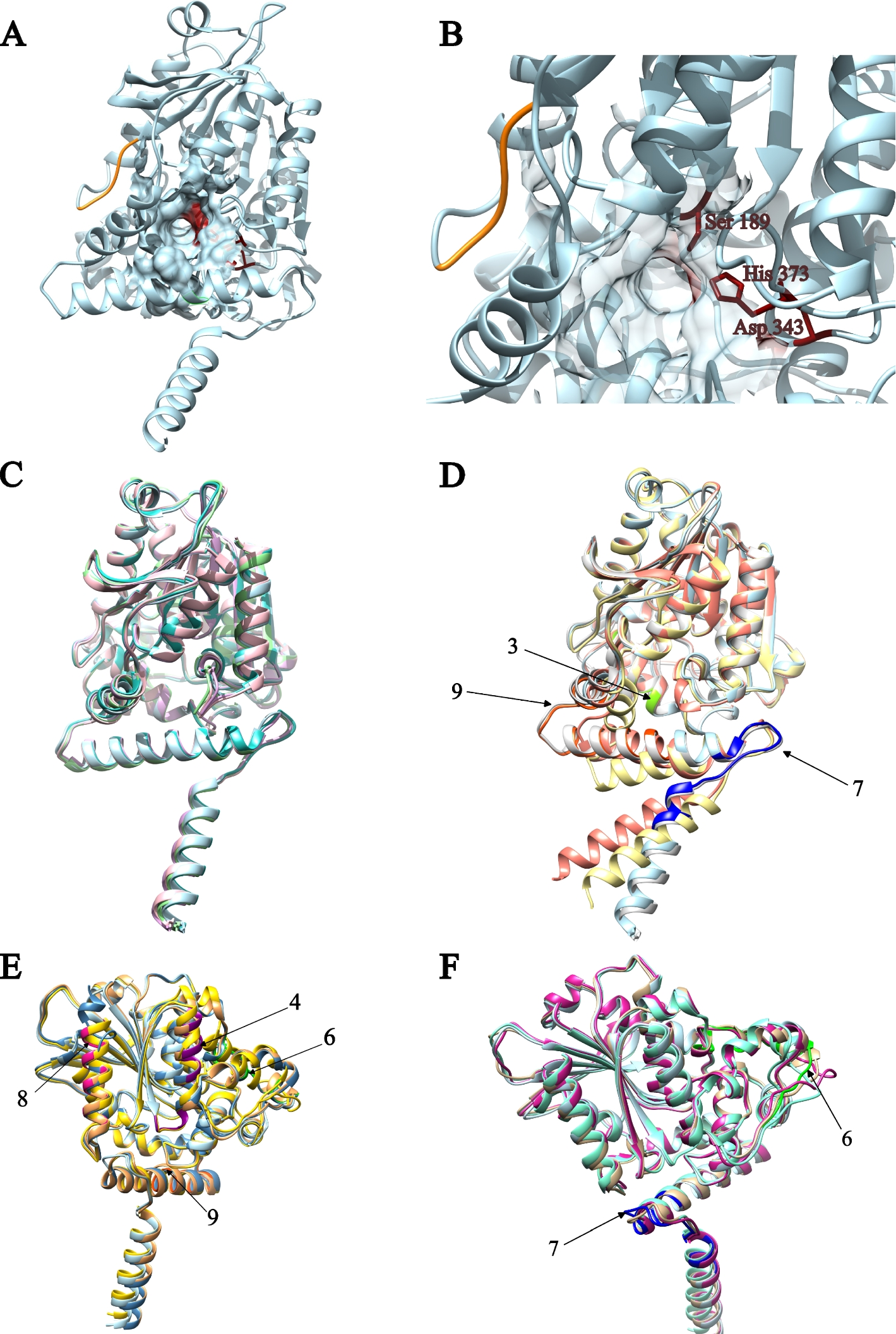 Fig. 6