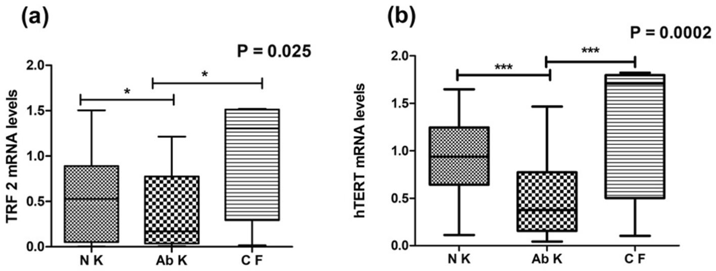 Fig. 2﻿