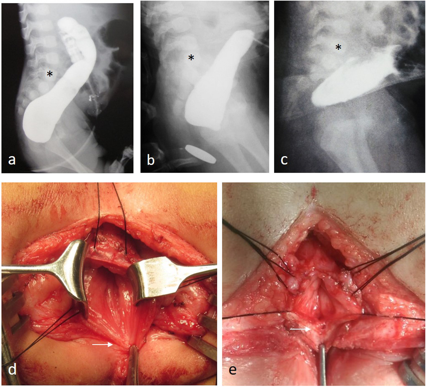 Fig. 3