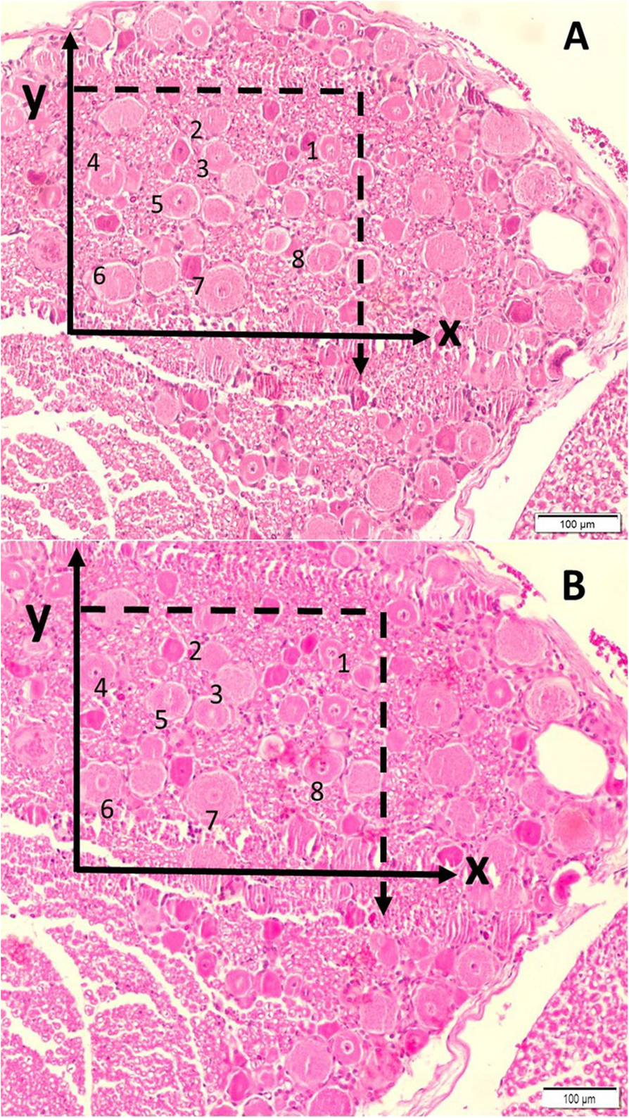 Fig. 3