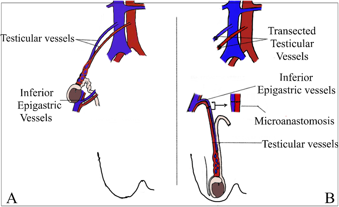 Fig. 5