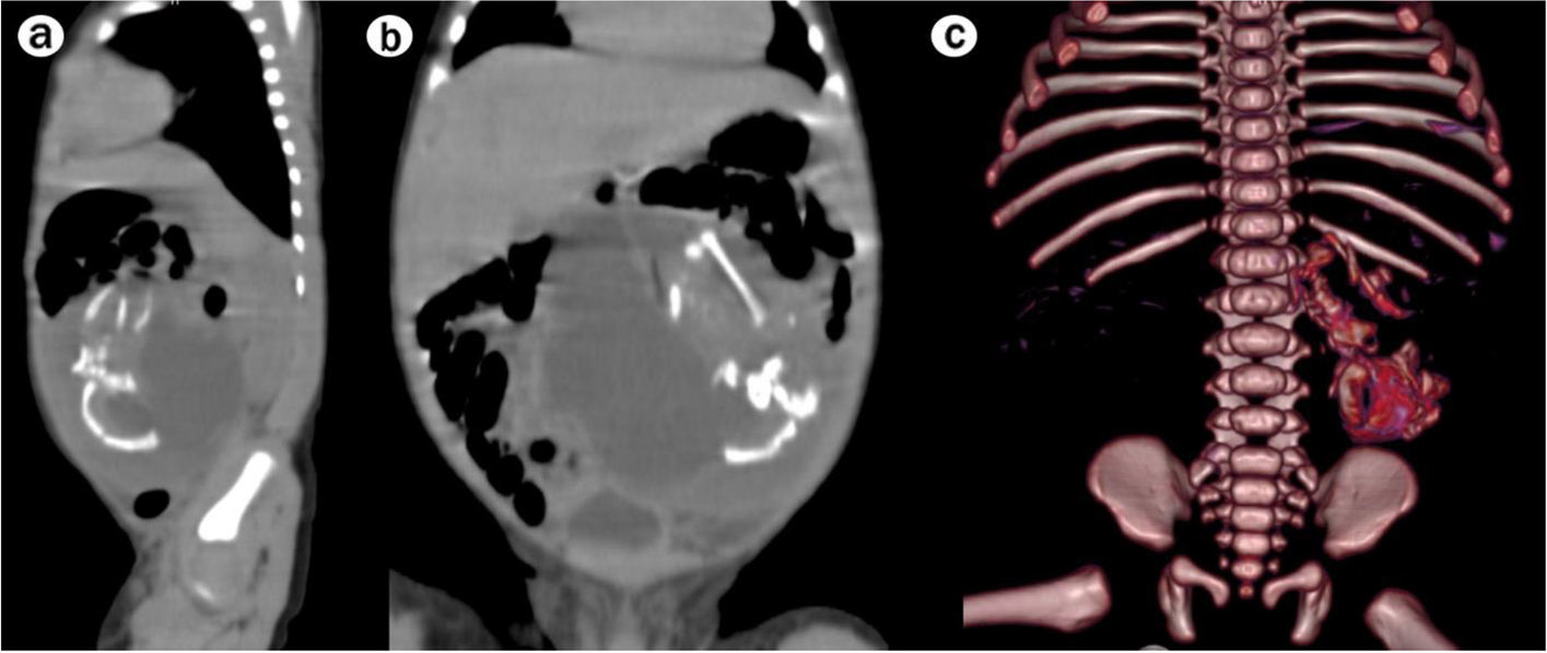 Fig. 3