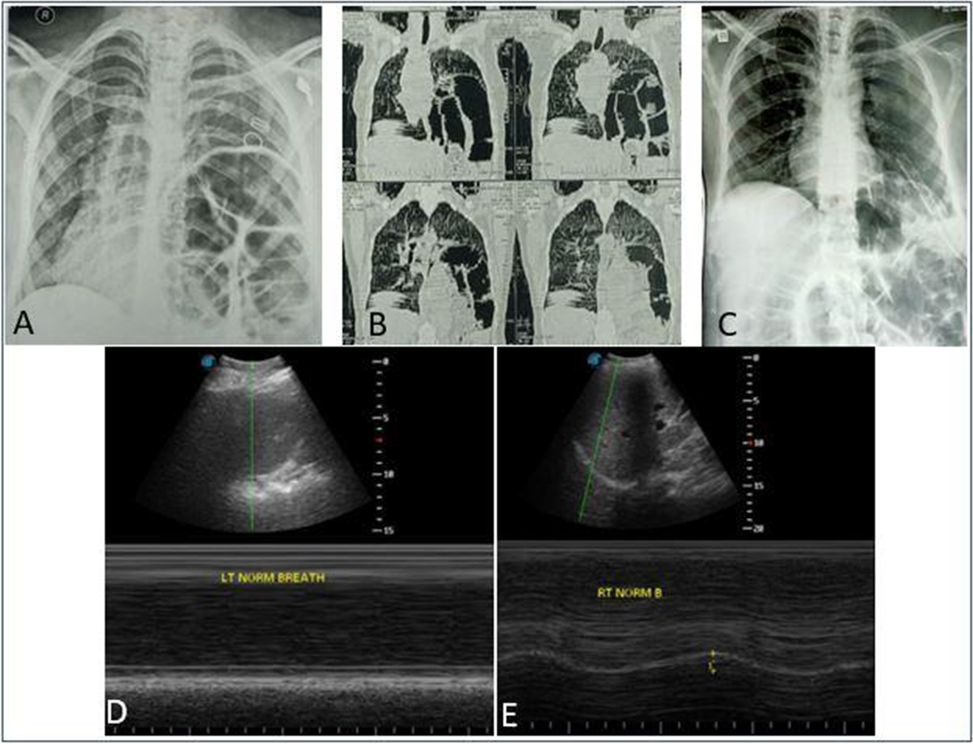 Fig. 4