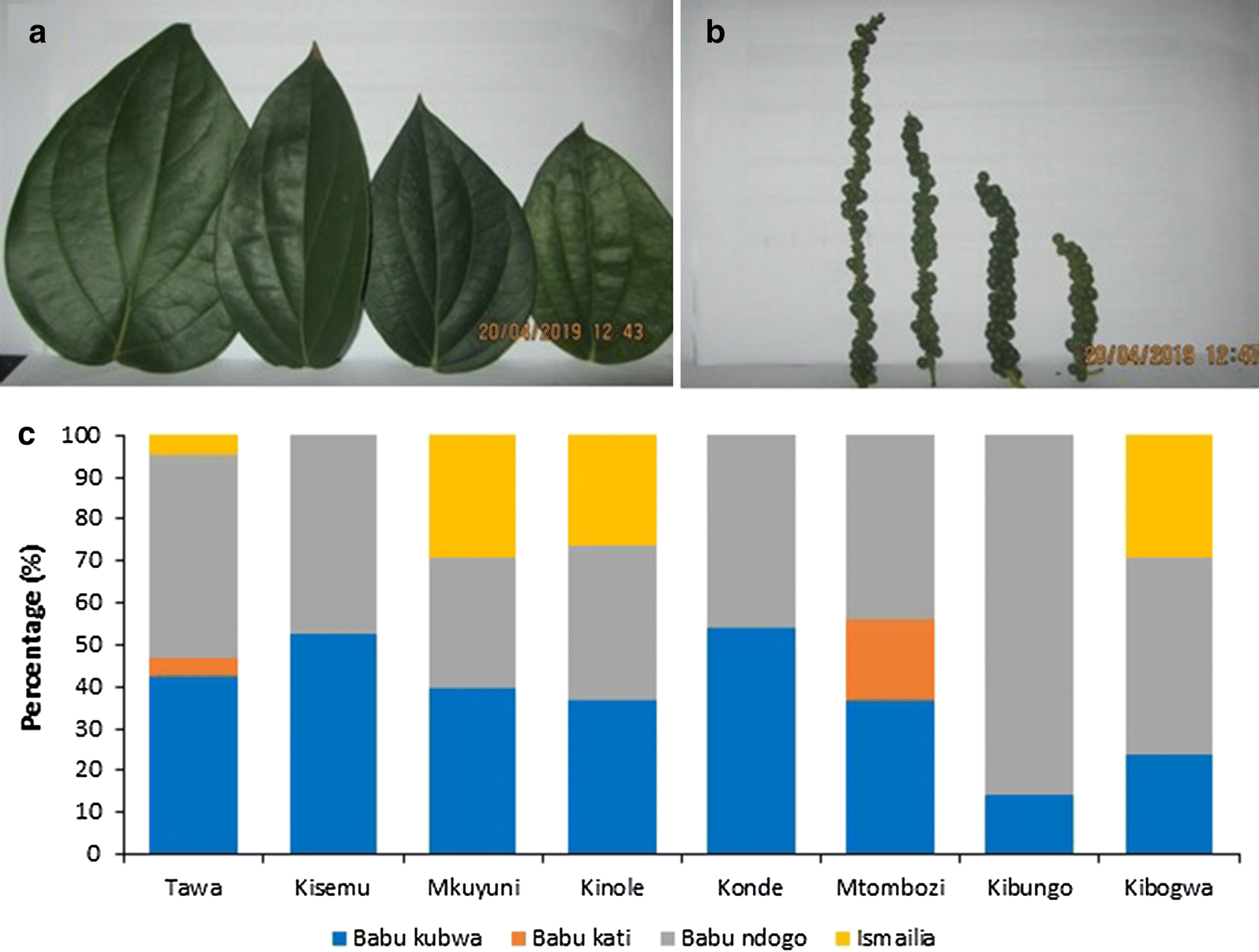 Fig. 5