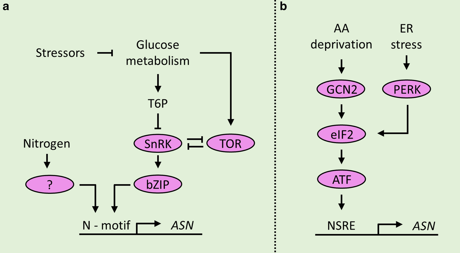 Fig. 3