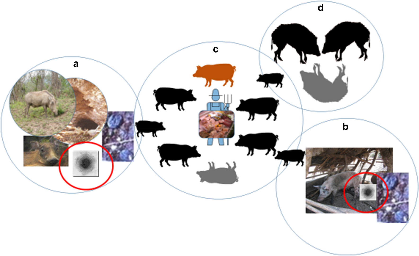 Fig. 1