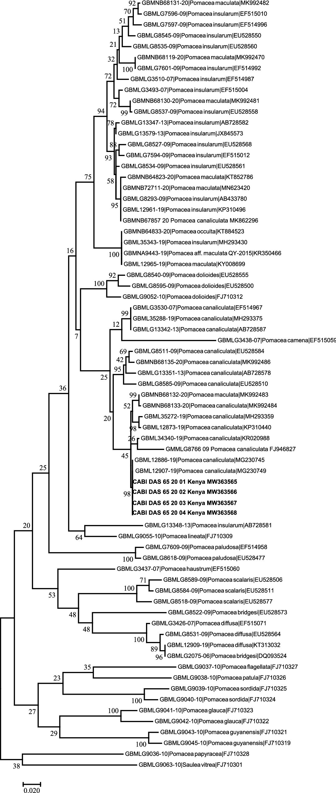 Fig. 3