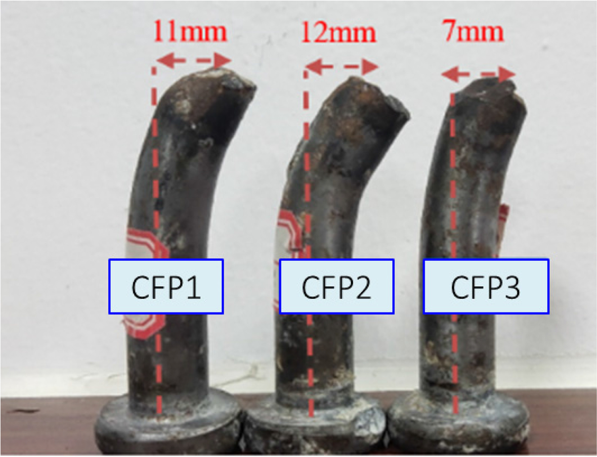 Fig. 10