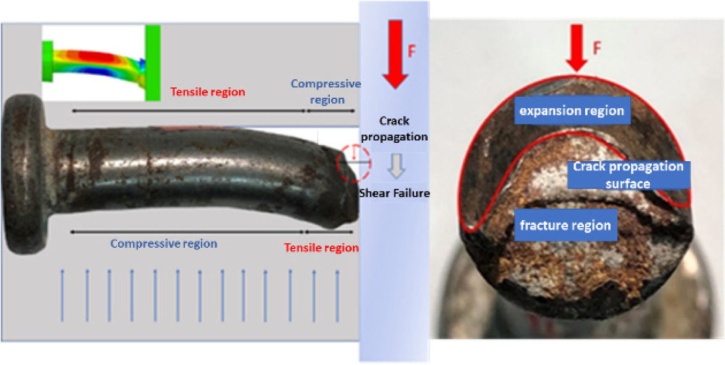 Fig. 12