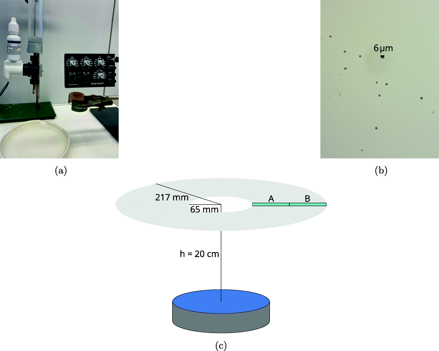 Fig. 12