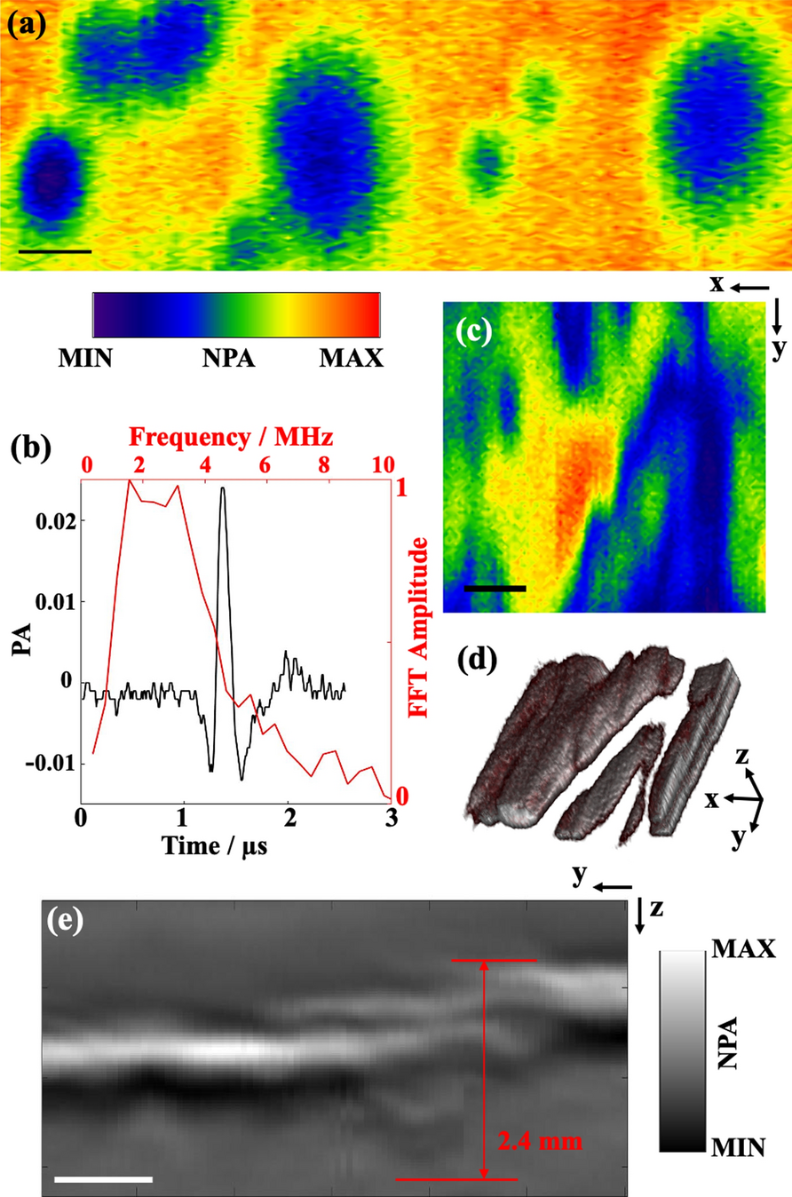 Fig. 3