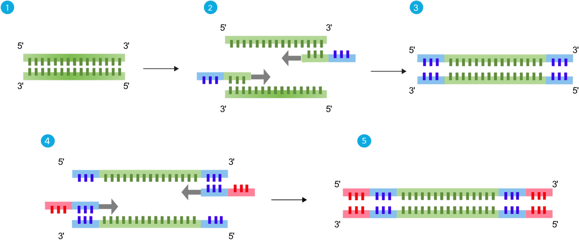 Fig. 7