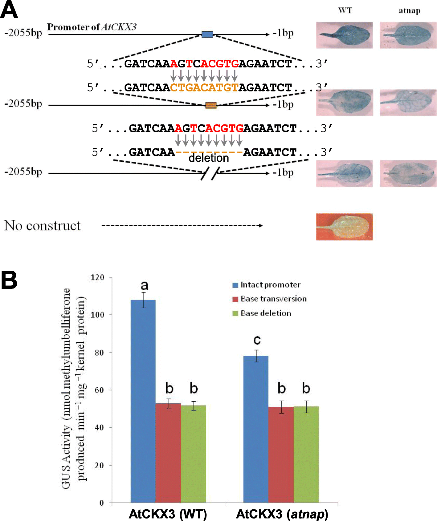 Fig. 6